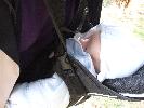Thumbnail image of 2007_03310145.JPG