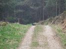 Thumbnail image of 2007_03310146.JPG