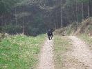 Thumbnail image of 2007_03310148.JPG