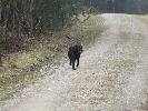 Thumbnail image of 2007_03310152.JPG