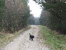 Thumbnail image of 2007_03310153.JPG