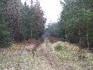 Thumbnail image of 2007_03310158.JPG