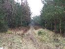 Thumbnail image of 2007_03310159.JPG