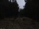 Thumbnail image of 2007_03310160.JPG