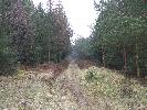 Thumbnail image of 2007_03310161.JPG
