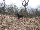 Thumbnail image of 2007_03310162.JPG