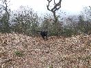 Thumbnail image of 2007_03310163.JPG