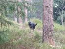 Thumbnail image of 2007_03310167.JPG