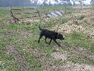 Thumbnail image of 2007_03310169.JPG