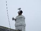Thumbnail image of 2007_03310179.JPG