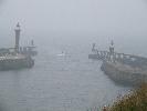 Thumbnail image of 2007_03310192.JPG