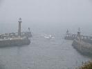 Thumbnail image of 2007_03310193.JPG