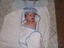 Thumbnail image of 2007_03310018.JPG
