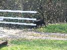 Thumbnail image of 2007_03310023.JPG