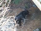 Thumbnail image of 2007_03310027.JPG