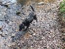 Thumbnail image of 2007_03310032.JPG