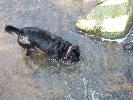 Thumbnail image of 2007_03310033.JPG