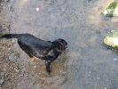 Thumbnail image of 2007_03310034.JPG