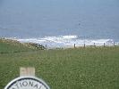 Thumbnail image of 2007_03310037.JPG