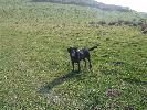 Thumbnail image of 2007_03310039.JPG