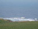 Thumbnail image of 2007_03310042.JPG