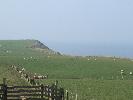 Thumbnail image of 2007_03310043.JPG