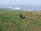 Thumbnail image of 2007_03310044.JPG