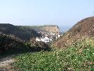 Thumbnail image of 2007_03310049.JPG