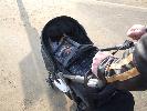 Thumbnail image of 2007_03310059.JPG