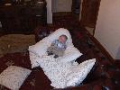 Thumbnail image of 2007_03310064.JPG