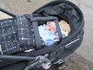 Thumbnail image of 2007_03310071.JPG