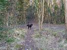 Thumbnail image of 2007_03310089.JPG