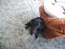 Thumbnail image of 2007_04090006.JPG