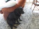 Thumbnail image of 2007_04090010.JPG