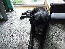 Thumbnail image of 2007_04090034.JPG