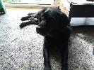 Thumbnail image of 2007_04090035.JPG
