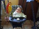 Thumbnail image of 2007_04280011.JPG