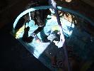 Thumbnail image of 2007_04280013.JPG