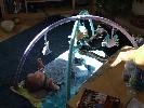 Thumbnail image of 2007_04280014.JPG