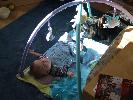 Thumbnail image of 2007_04280016.JPG