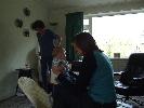 Thumbnail image of 2007_04280026.JPG