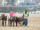 Thumbnail image of 2007_04280036.JPG