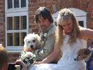 Thumbnail image of 2007_04280071.JPG