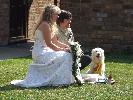 Thumbnail image of 2007_04280084.JPG