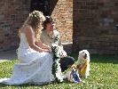 Thumbnail image of 2007_04280085.JPG