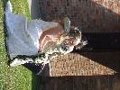 Thumbnail image of 2007_04280087.JPG