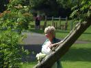 Thumbnail image of 2007_06010062.JPG
