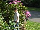 Thumbnail image of 2007_06010102.JPG