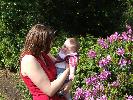 Thumbnail image of 2007_06010130.JPG