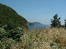 Thumbnail image of DSCF0004.JPG